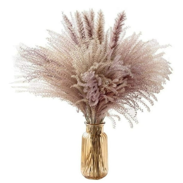 Cibee Pampas Grass 60 Cm Natural Dried Flower Decorative Dried Flowers Artificia Walmart Com Walmart Com