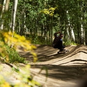 Atom Longboards Atom All-Terrain Longboard - 39 , Woody