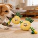 thumbnail image 5 of Juguete interactivo para mascotas con forma de fruta, material PP, chirriador, tira y afloja, resistente a los mordiscos, para perros y gatos, juego en interiores y exteriores, limpieza dental, 5 of 6