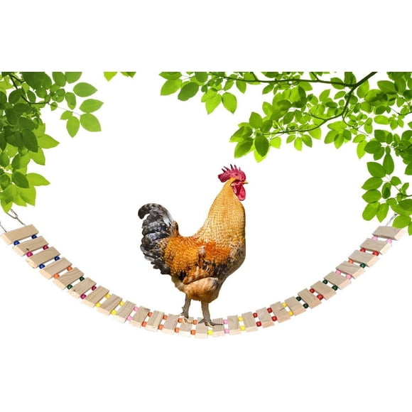 Jouet Miroir Poulet, Jouets Réfléchissants pour Poulailler avec Perles en Bois Colorées, Engageant pour Poules