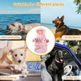 thumbnail image 5 of Albornoz para perros Pijama con capucha gruesa y suave de lujo para invierno Toalla de baño para perros de secado rápido y súper absorbente Pijama suave para mascotas para perros, perros y, 5 of 5