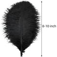thumbnail image 3 of Black Ostrich Feathers Bulk - 24Pcs 8-10inch Feathers for Crafts,Gatsby and Halloween Party Centerpieces, 3 of 13