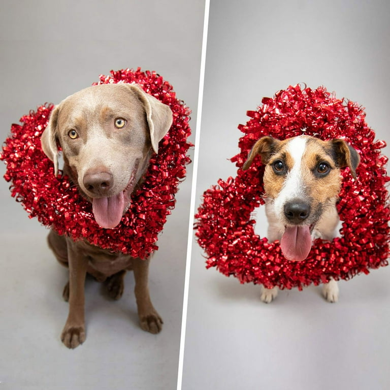 Cieken Heart Metal Wreath 12 In Heart-Shaped Wire Frame Wedding