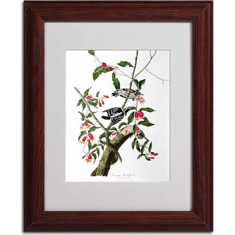 Trademark Fine Art "Downy Woodpecker" Canvas Art by John James Audubon, Wood Frame