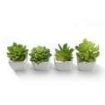 thumbnail image 3 of K-Cliffs Artificial Succulent Plants Potted in Cube-Shape White Ceramic Pots , Set of 4 (White), 3 of 11
