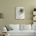 thumbnail image 2 of Masterpiece Art Gallery Feathers #11 Peacock By Alan Blaustein Canvas Art Print 18" x 24", 2 of 4