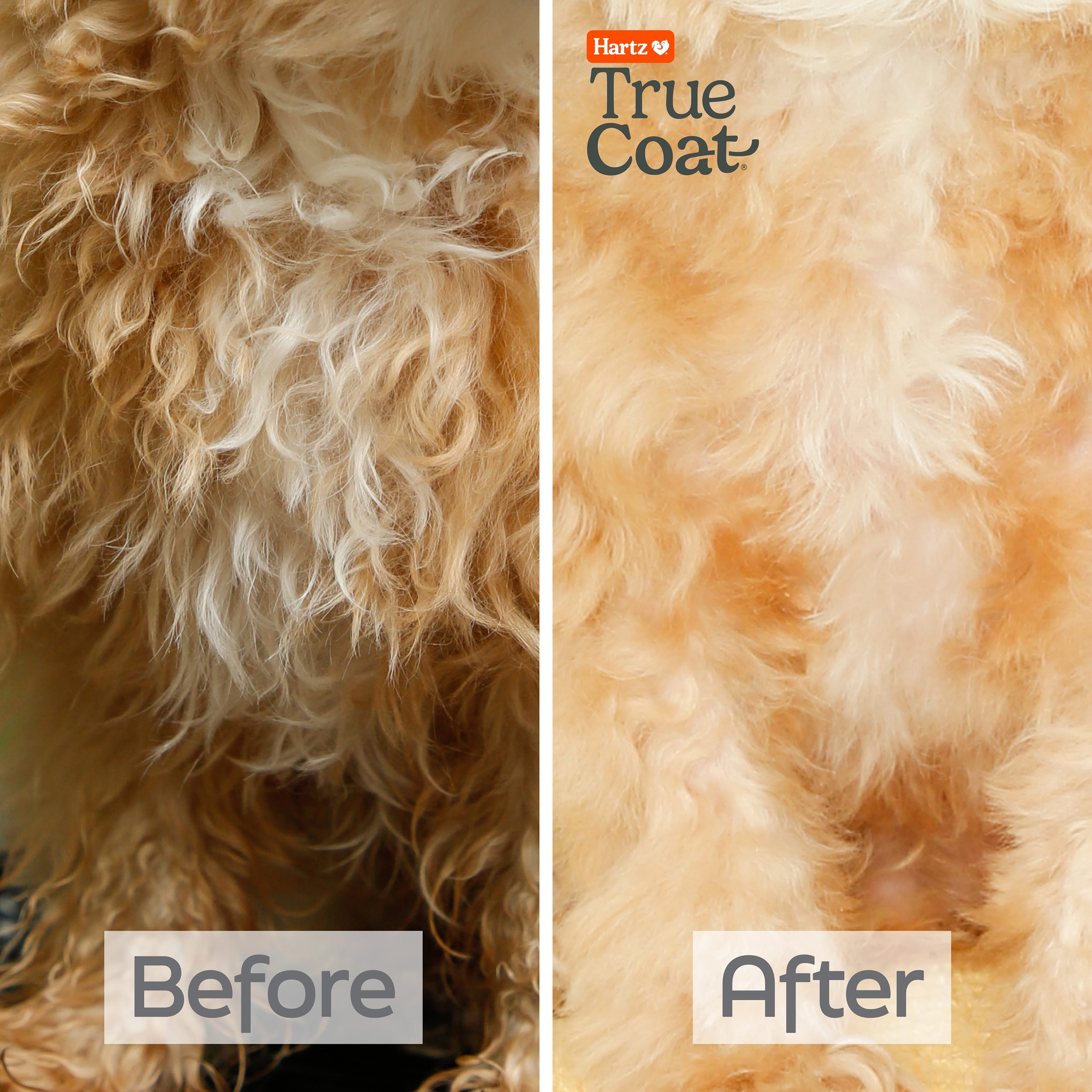 Hartz True Coat Curly or Wavy Dog Shampoo, 5 in 1 Detangles & Conditions with Oat Milk, Coconut Oil & Shea Butter, 16 oz