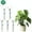 5 Pack, variant on 10 Pack Stackable Monstera Plant Support, 2025 New Plant Stakes for Indoor and Outdoor Plants Use, Garden Stakes for Climbing and Potted Plants, Pothos, Philodendron (10 Pack)