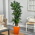 thumbnail image 2 of Nearly Natural 5.5ft. Dracaena Plant in Orange Square Planter (Real Touch), 2 of 4