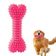 thumbnail image 5 of YfiDSJFGJ 2Pcs Bite-Resistant Rubber Toothbrush Toys, Dog Chew Toys ,4.33 Inch Bone Shape for Small and Medium Dogs, 5 of 6