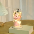 thumbnail image 4 of AuroraX Valentines Day Tabletop Pink Preserved Rose Flower Bouquet In Glass Dome Decorative Love Romantic Night Light Decorations for Home Party Anniversary Valentine'S Day Gifts for Him Her Couples, 4 of 6