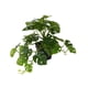thumbnail image 2 of Plantas artificiales Advancent Hoja Planta falsa Interior Exterior Decoración verde con maceta, 2 of 6