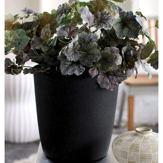 The HC Companies Maceta Redonda Autorriego Santa Fe de 30 Cm Maceta Decorativa y Ligera con Orificio de Drenaje para Uso en Interiores y Exteriores, Color Arena Negra.