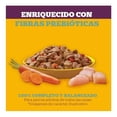 thumbnail image 4 of Alimento para Perro Pedigree Pancita Saludable Adulto Pavo y Zanahoria 100 g, 4 of 4