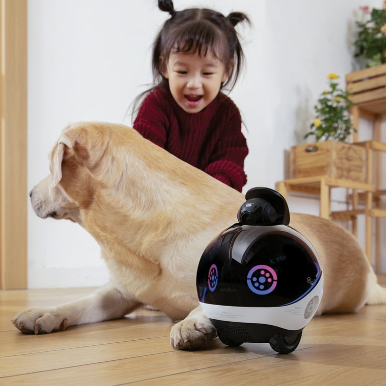 Enabot EBO X Indoor Wi-Fi Moving 4K Smart Home Companion