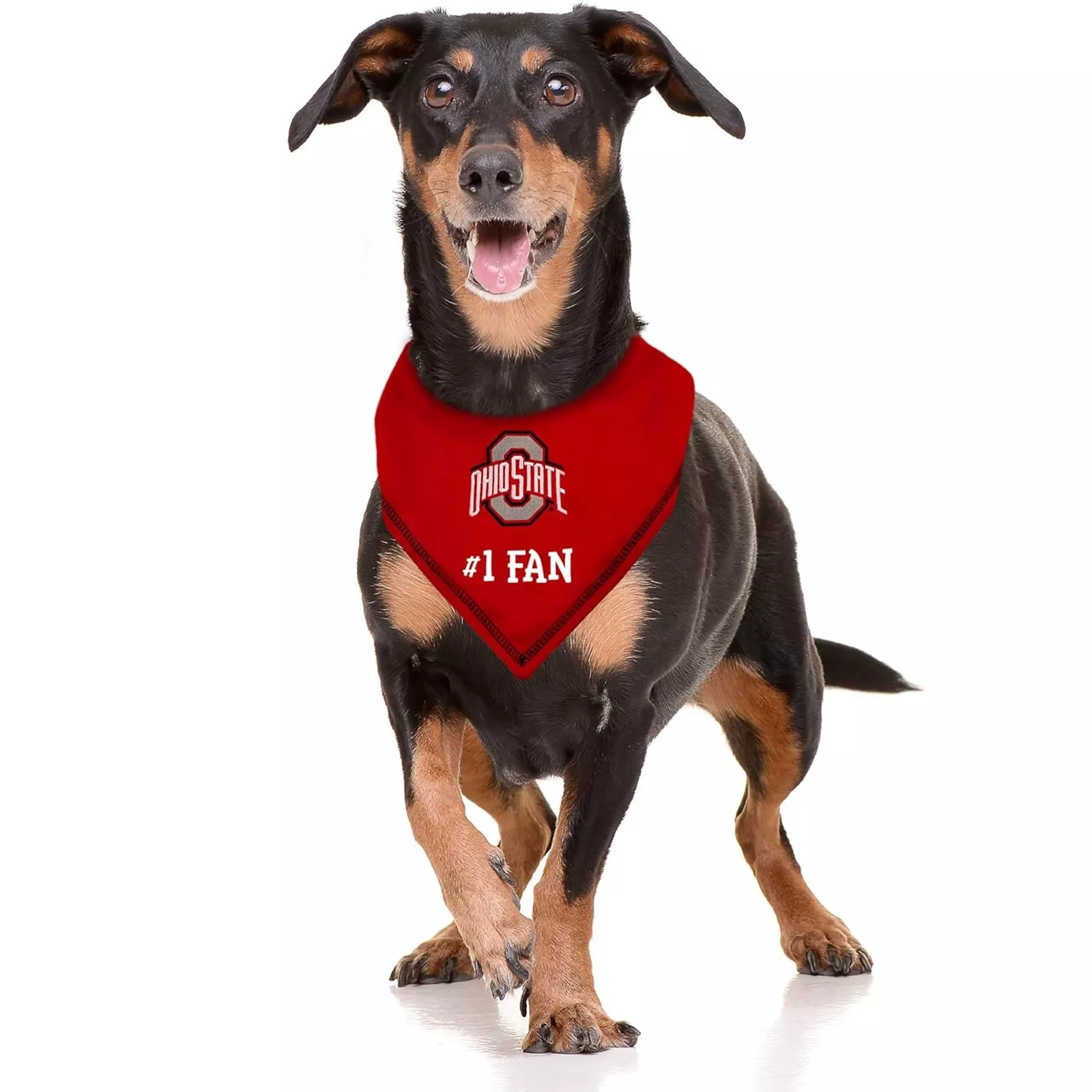 Pets First NCAA Personalized Tie Bandana for Dogs & Cats Sporty Dog Bandana