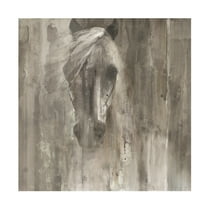 Albena Hristova 'Shadow Light Gray Horse' Canvas Art