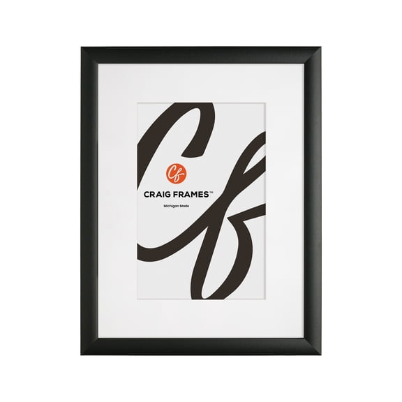 Craig Frames 1WB3BK 12 x 16 Inch Black Picture Frame Matted to Display an 8 x 12 Inch Photo
