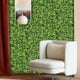 thumbnail image 3 of onlyliua Liquidación Plantas Que Son Pared, Plantas Que Son Pared, Plantas Que Son Pared, Interiores Que Son Sala de Estar, Flores Que Son Pared, Colgante Que Es Pared, Plástico, Puerta, Protección, 3 of 4