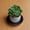 7.87 inch, variant on Plant Saucer, Drip Tray, 11.02 Inch Plastic Plant Tray, Round Pot Saucer, Water Catcher Tray, Heavy Duty Plant Tray, Sturdy Flower Pot Base Tray, Durable Indoor Outdoor Plant Saucer for Flower Pots