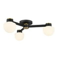 thumbnail image 5 of Ceiling Light in Matte Black with Natural Brass, 5 of 7