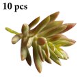 thumbnail image 1 of 10PCS Artificial Succulents Decorative Mini Lifelike Simulated Plants Home Decor, 1 of 9