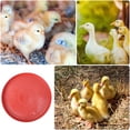 thumbnail image 3 of MERRYHAPY 2Ud Para Pienso De Pollos Accesorio Para Alimentación Con Material Ecológico, 3 of 8