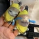 thumbnail image 4 of Creative Banana Cat Keychain Banana Doll Screaming Cry Squeeze Plush Toys for Teen Girls and Boys, 4 of 5