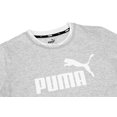 thumbnail image 2 of Playera Puma Amplified Graphic para Mujer 585902-04 gris S Puma 585902-04 PLAY. AMPLIFIED GRAPHIC, 2 of 3