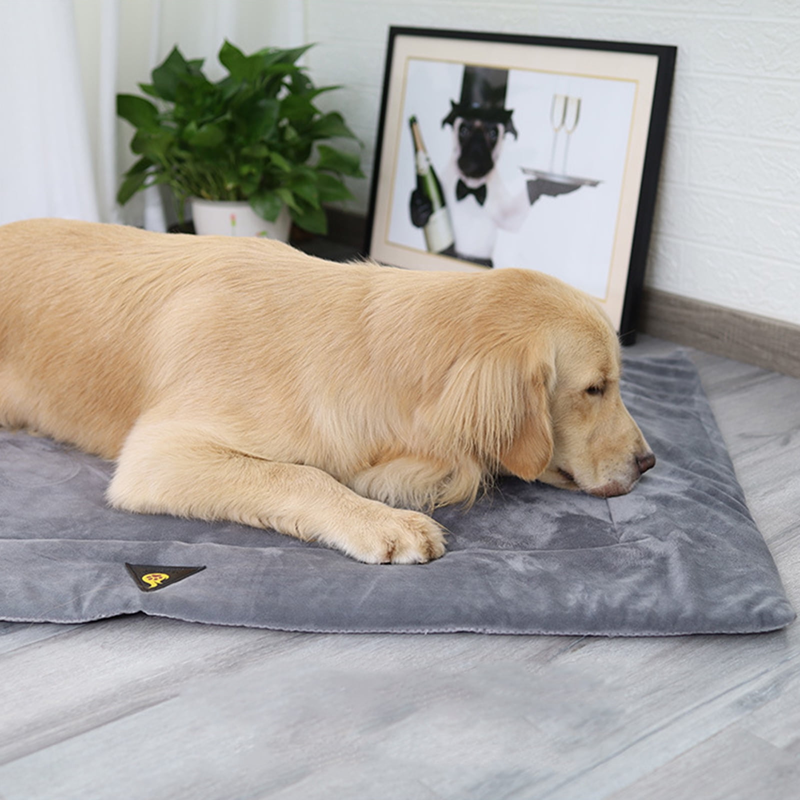 Square Long Plush Warm Dog Bed with Waterproof Film Mats Pet Kennel Warm Sleeping for Pet Washable Dogs Sofa Bed