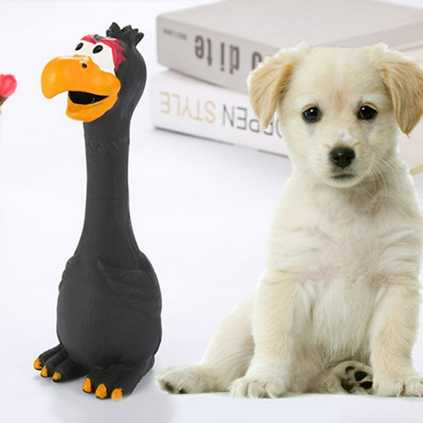 Juguetes para Perros Wdftyju Juguetes Divertidos Pollo de Goma Suave Libre de BPA