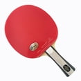 thumbnail image 1 of Palio Expert 2.0 Table Tennis Racket & Case - ITTF Approved - Flared - Intermediate Ping Pong, Racket, Paddle, 1 of 3