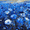 RuralLandscape, variant on Vibrant Yellow Cosmos Field Canvas Print Wall Art for Living Room Bedroom Dining Room Kitchen Hallway Office Hotel Lobby