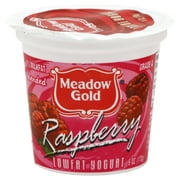 Meadow Gold Low Fat Raspberry Yogurt, 6 Oz.