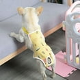 thumbnail image 2 of Mosey Soft Dog Pants Adjustable Band   for Female Dogs   Health Care, 2 of 7