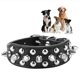 thumbnail image 4 of Collar para perro de cuero elegante con diseño de PU de primera calidad, seguro, cómodo y adornado con púas, 4 of 8