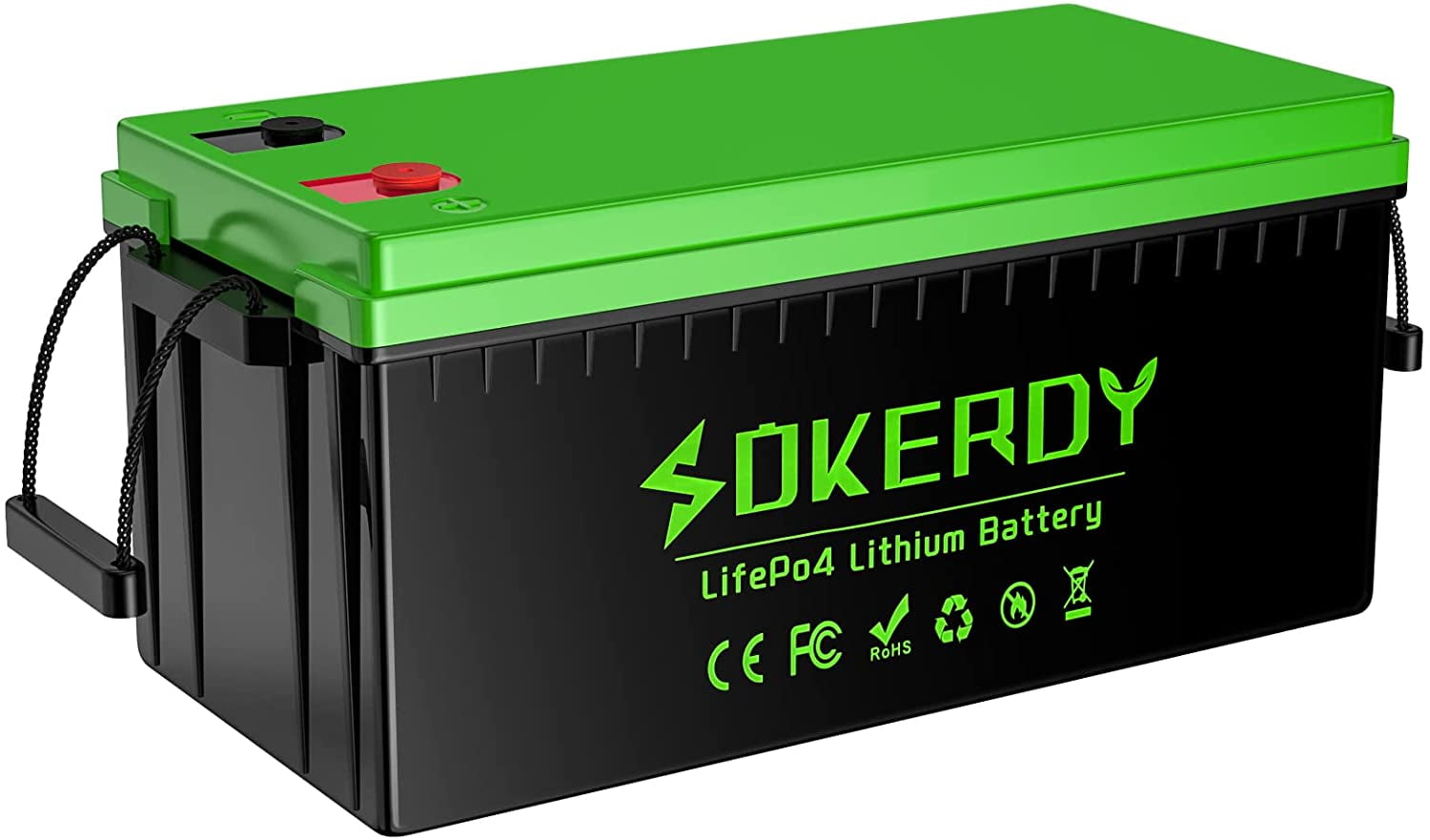 LOSSIGY 24V 100AH LiFePO4 Lithium Battery, Built in BMS with 10 Yrs  Lifespan, Perfect for Trolling Motor, Solar System, RV, Marine