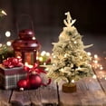 thumbnail image 6 of Gcvizuso Christmas Tree, Christmas Tree Decorations, New Flocking Small Tree Green Table Decoration Christmas Tree Christmas Decoration Mini Table Decoration Holiday Props, 6 of 8