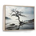 thumbnail image 2 of Designart "Beach Tree silence II" Nautical & Beach Floater Framed Canvas Print, 2 of 7