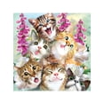 thumbnail image 2 of Kitten Selfie T-Shirt, 2 of 2