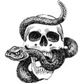 thumbnail image 1 of Black and White Pen Sketch Skull with Rattle Snake Art Vinyl Sticker (4" Tall), 1 of 2