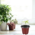 thumbnail image 5 of Dayesque 5-Pack Small Plastic Nursery Pots with Transparent Humidity Dome for Seed Starting and Flower Growing, 5 of 8