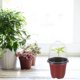 thumbnail image 2 of 10 juegos de macetas de vivero con cúpula de humedad, macetas de plástico para jardinería, recipientes para plantar, macetas para sembrar semillas., 2 of 8