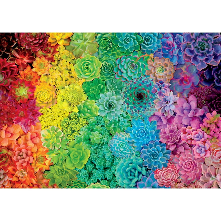 Succulent Rainbow 1000-Piece Jigsaw Puzzle – Colorful Plant Art Puzzle For Family Game Night