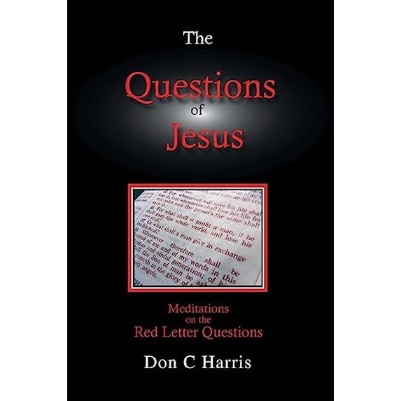 Pre-Owned The Questions of Jesus (Paperback) 097928290X 9780979282904