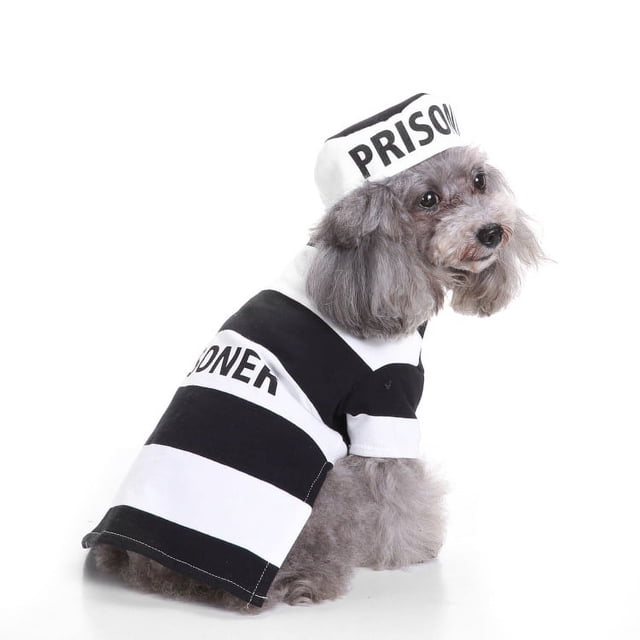 Zhuge Ropa para perros, camisa cálida y gruesa, suéter de invierno para cachorros, conjunto de suéter de punto navideño para mascotas (A05, L)