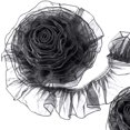 thumbnail image 1 of Encaje plisado con volantes de organza ANCIRS con ribete de tela, 9 yardas, negro, 1 of 7