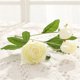 thumbnail image 5 of Toystoory Ramo de flores de peonía artificial de 4 ramas, decoración de simulación, adorno de flores para el hogar y la oficina Flores artificiales blanco Toystoory HA7106-02, 5 of 6