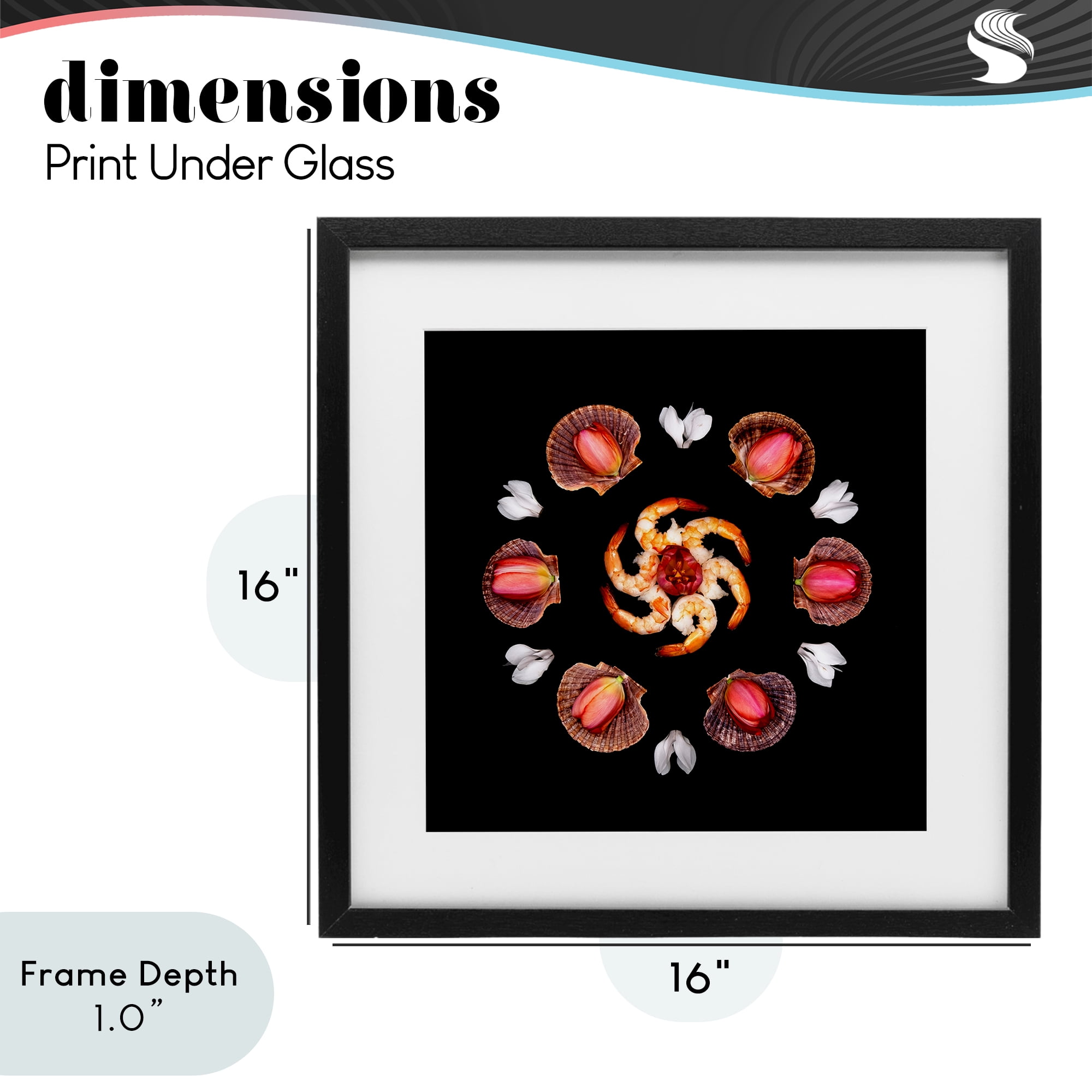 Stupell Industries Seashells & Tulips Symmetry Black Framed Print Under Glass, design by Beth Adoette