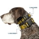 thumbnail image 2 of Collar para mascotas, collar de perro, hebilla de plástico, Pluto Expressions naranja, 15 a 24 pulgadas, 1.0 pulgadas de ancho, 2 of 8